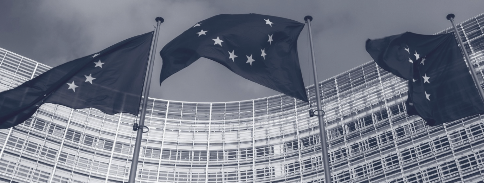 Human Trafficking & Technology Event at the European Parliament